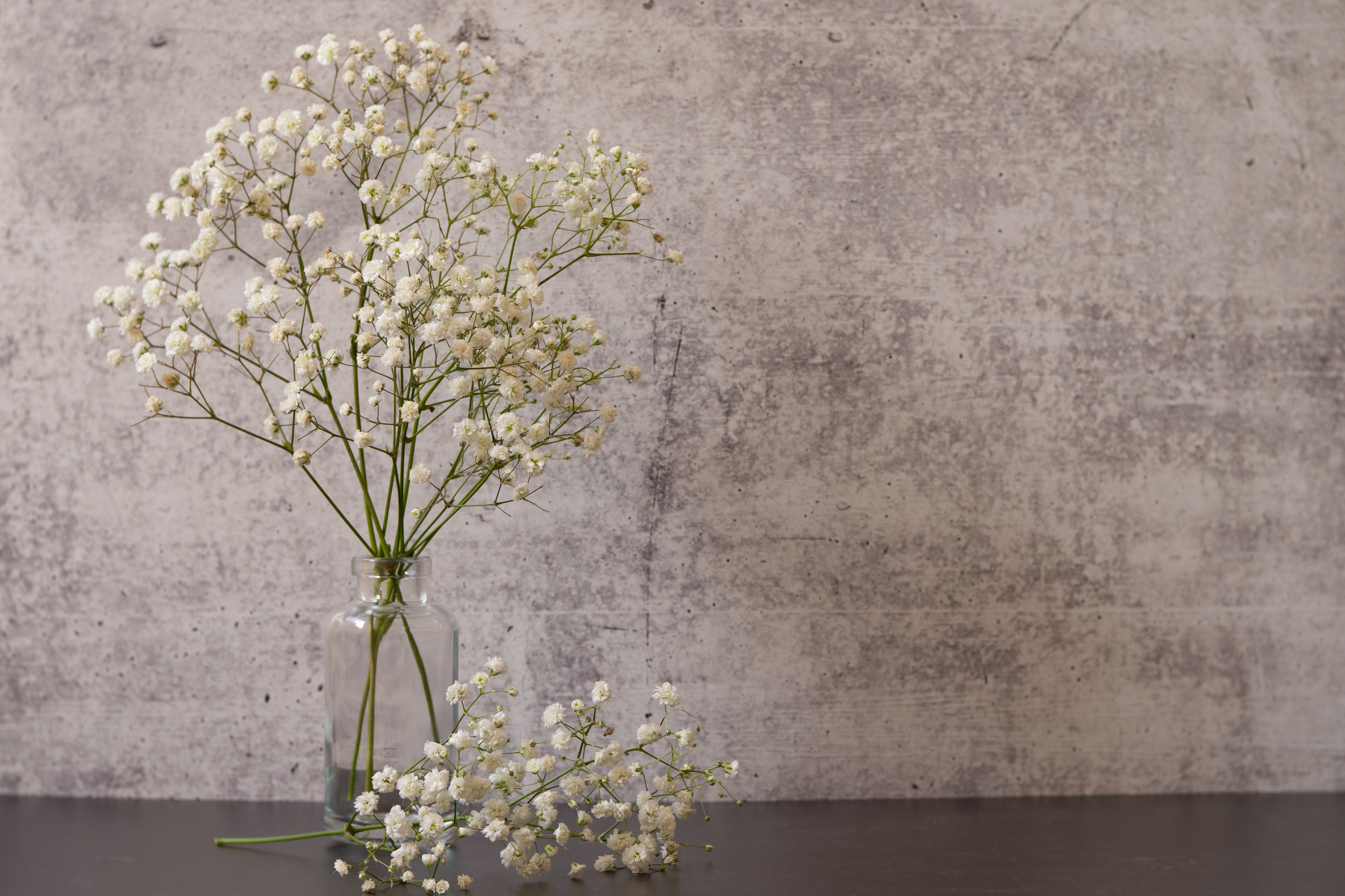 Rustic Baby's Breath